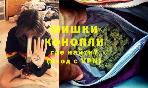 гидропоника Абаза