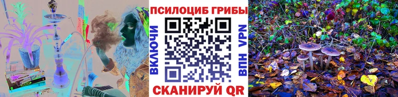 Галлюциногенные грибы Psilocybe  Александров 